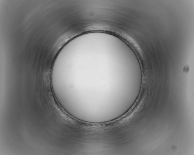 X0000091170937200708091021