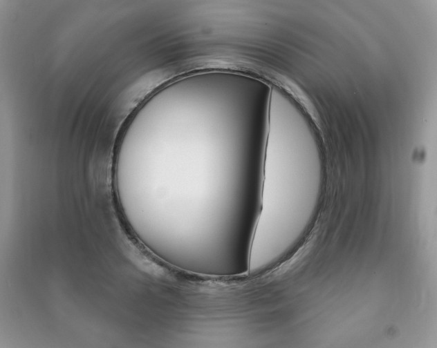 X0000091170938200708091021