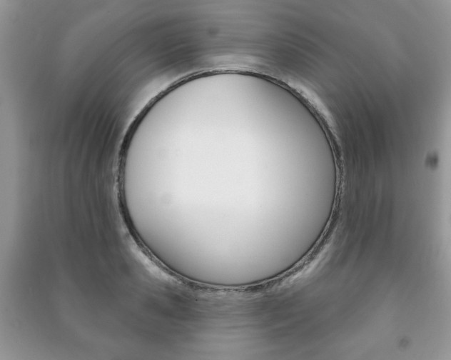 X0000091170941200708091021
