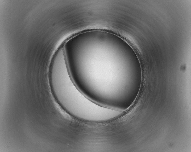 X0000091170942200708091021