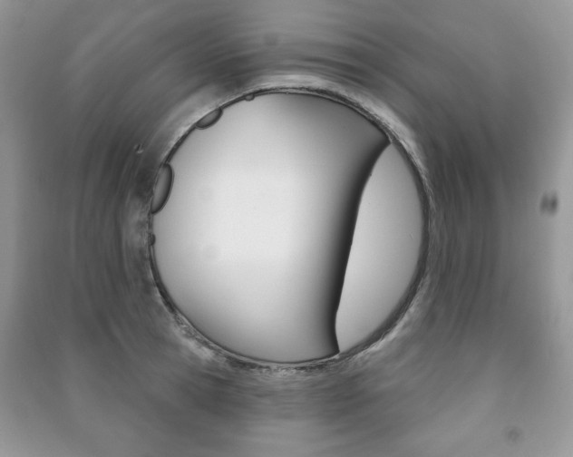 X0000091170945200708091021