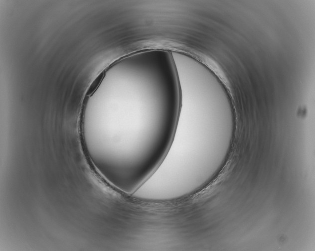 X0000091170946200708091021