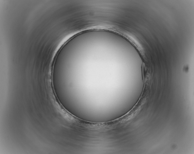 X0000091170948200708091021