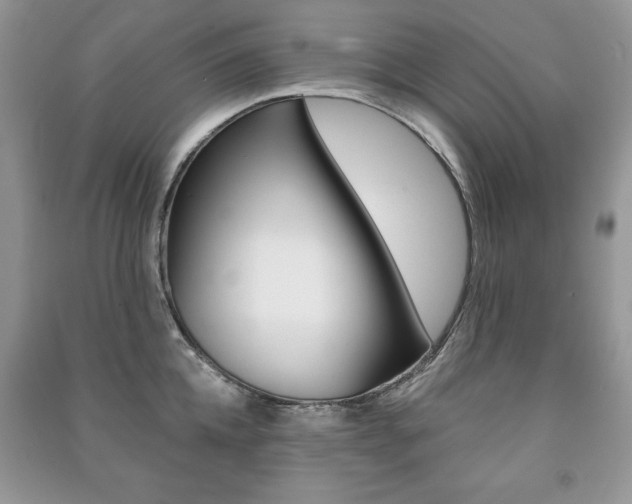 X0000091170952200708091021