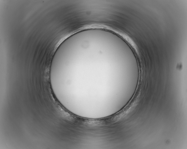X0000091170953200708091021