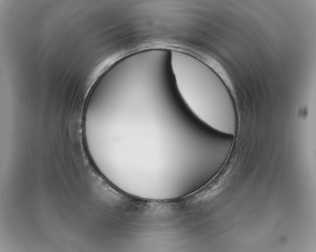 X0000091170954200708091021