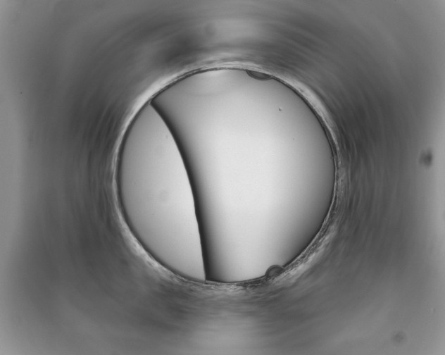 X0000091170957200708091021