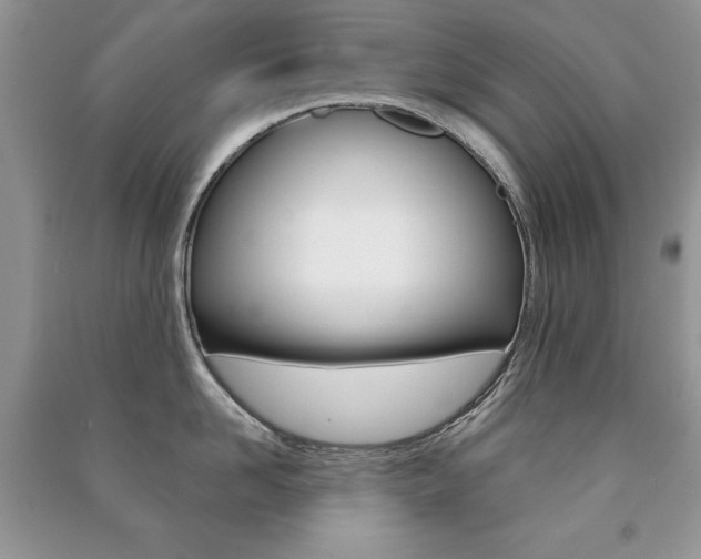 X0000091170958200708091021