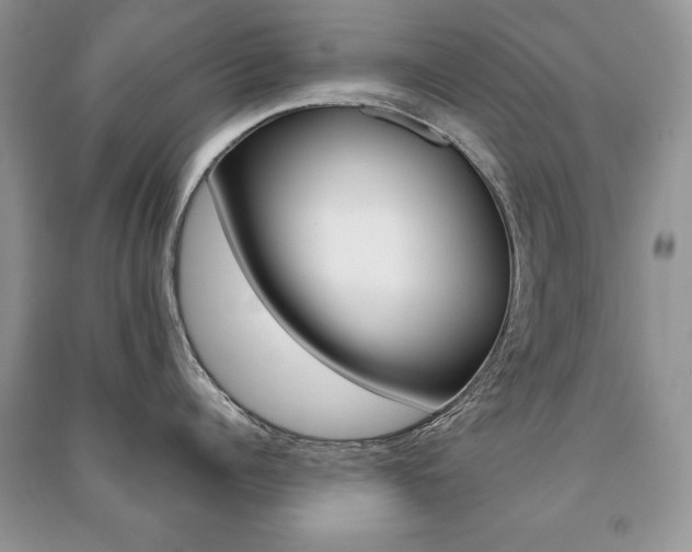 X0000091170960200708091021