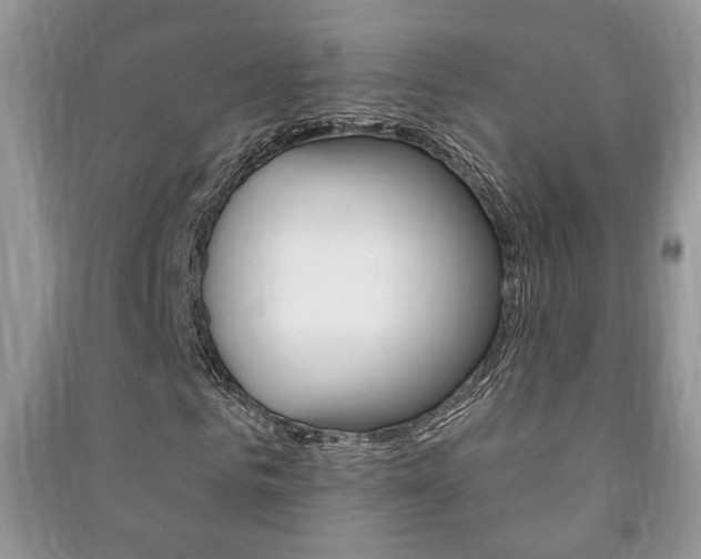 X0000091170961200708091020