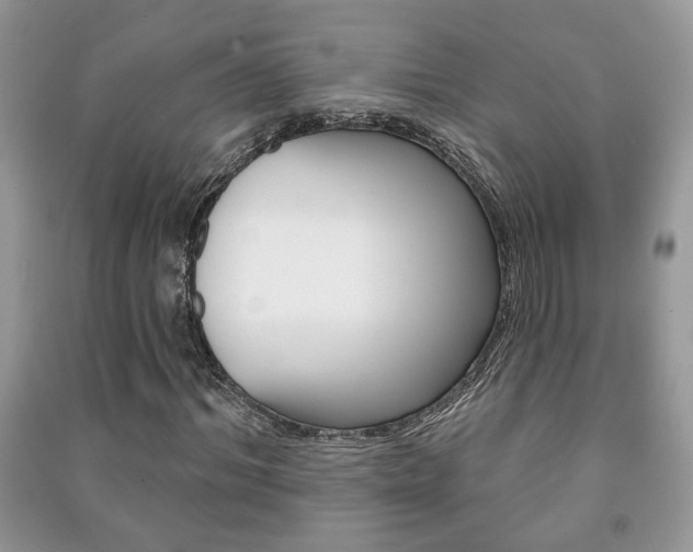 X0000091170964200708091020