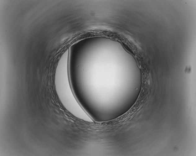 X0000091170965200708091020