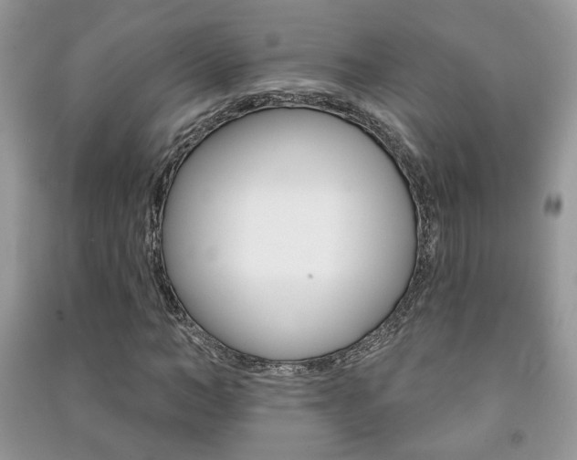 X0000091170966200708091020