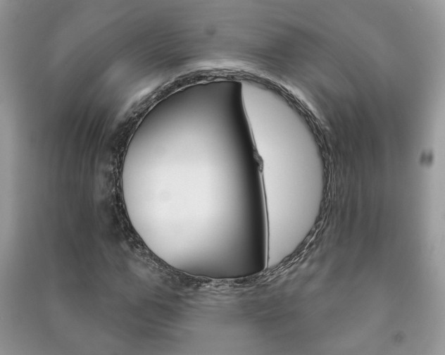 X0000091170967200708091020