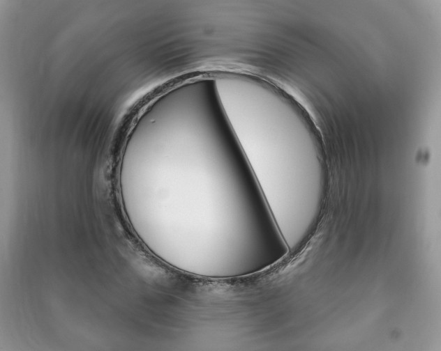 X0000091170971200708091020
