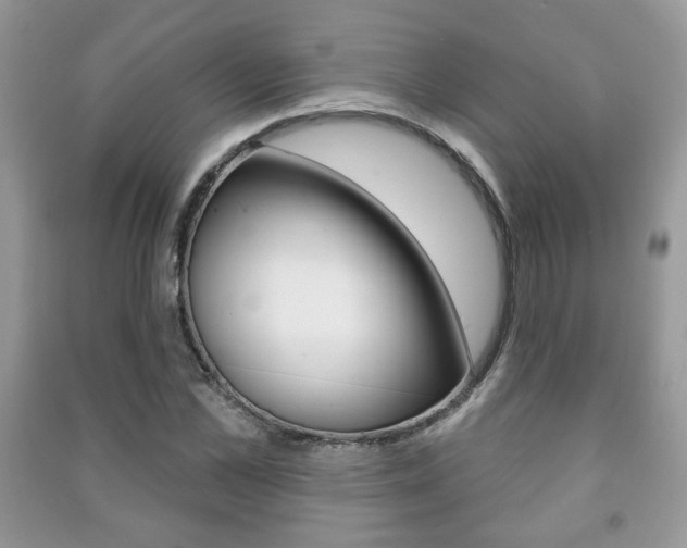 X0000091170973200708091020