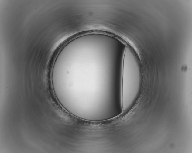 X0000091170975200708091020