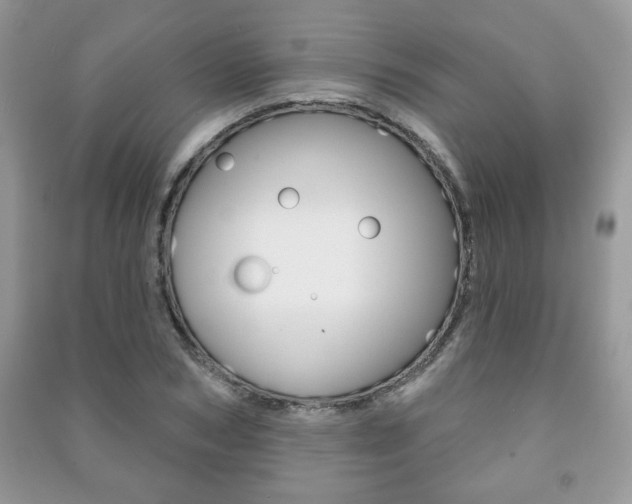 X0000091170978200708091020