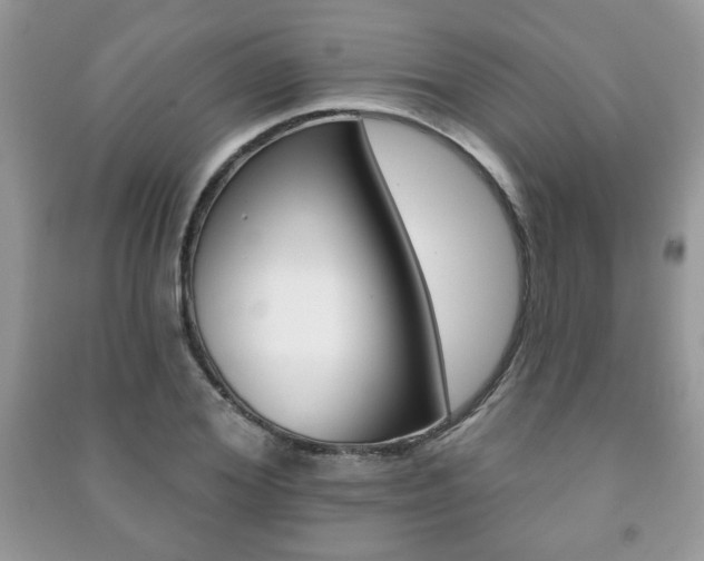 X0000091170980200708091020