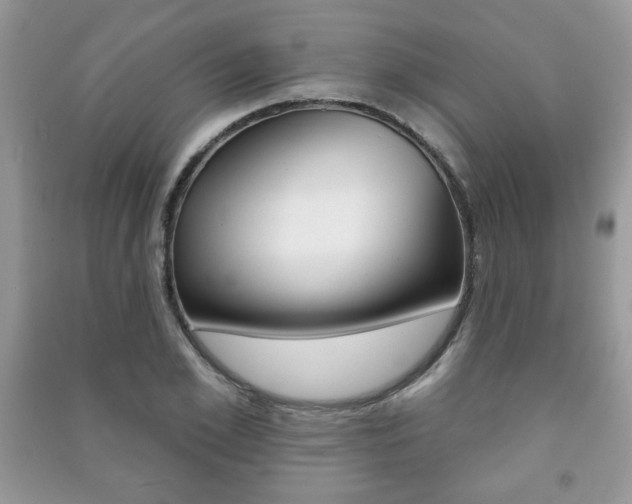 X0000091170981200708091020