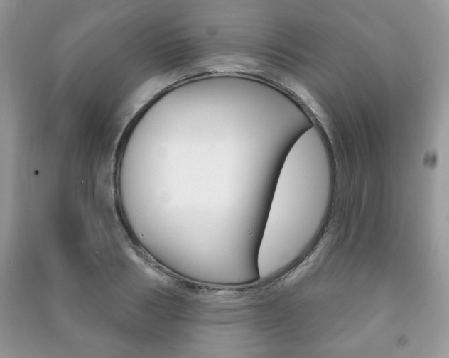 X0000091170986200708091020
