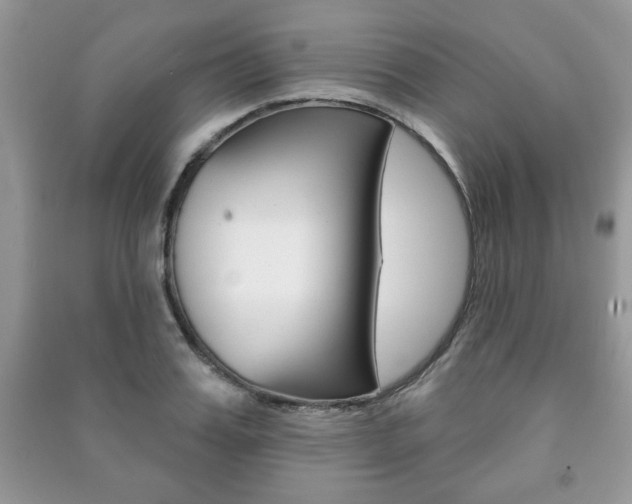 X0000091170987200708091020