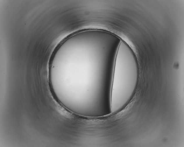 X0000091170988200708091020