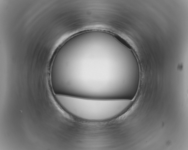 X0000091170989200708091020
