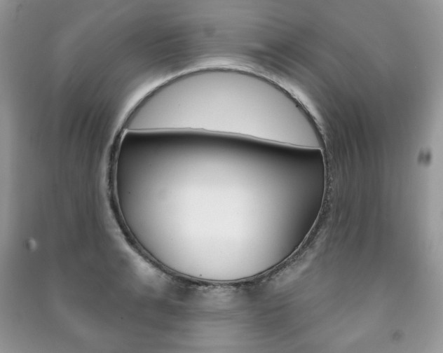 X0000091170991200708091020