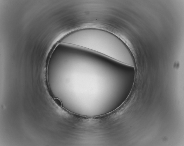 X0000091170992200708091020