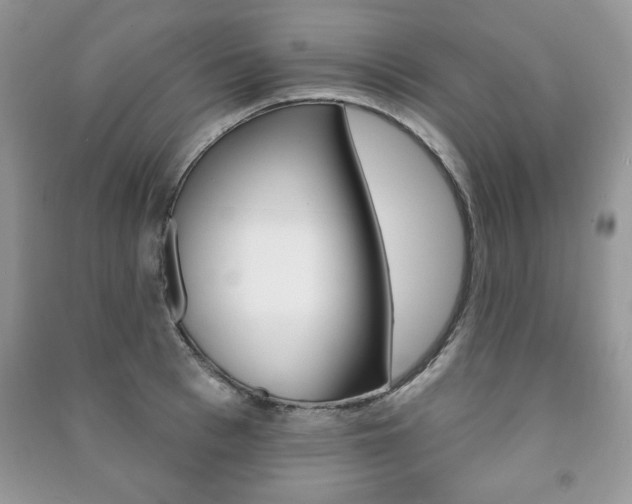 X0000091170993200708091020