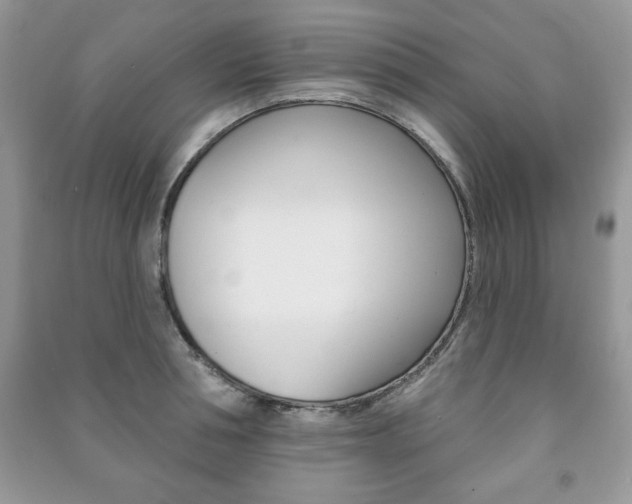 X0000091170994200708091020