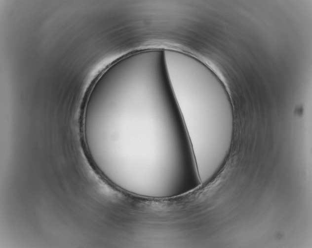 X0000091170995200708091020
