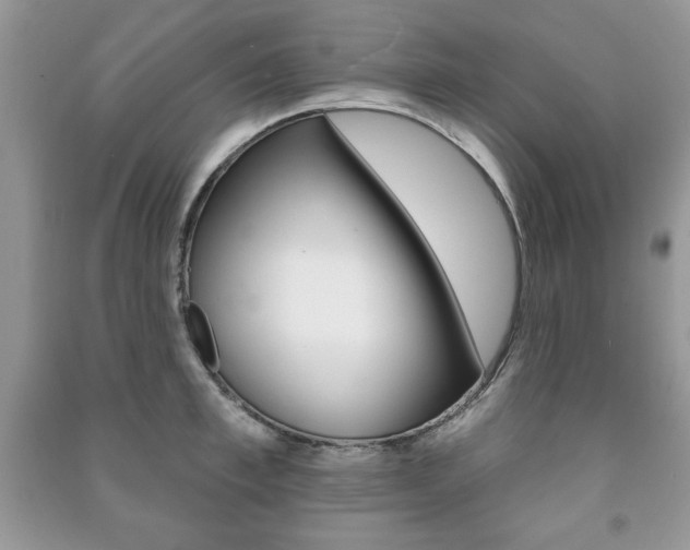 X0000091170997200708091020