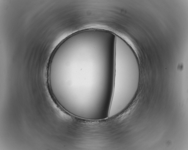 X0000091170999200708091020