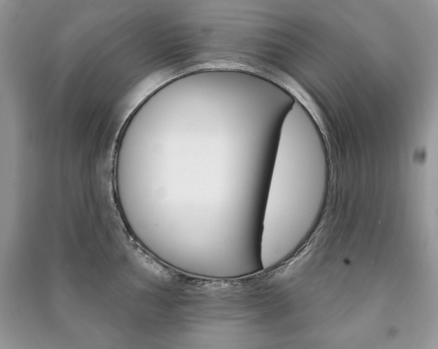 X0000091171002200708091020