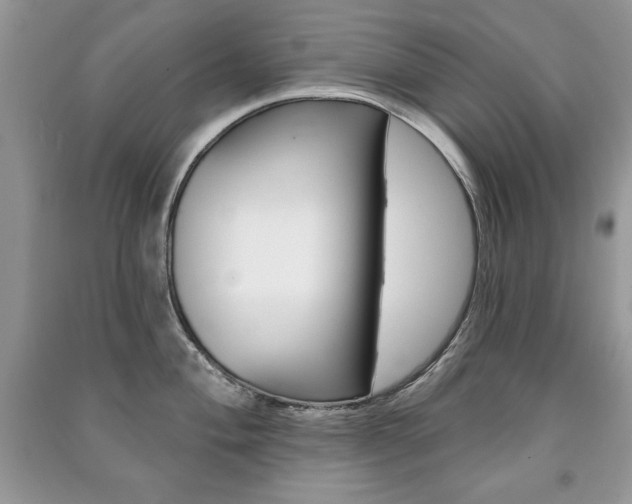 X0000091171004200708091020
