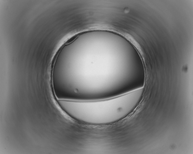X0000091171005200708091019