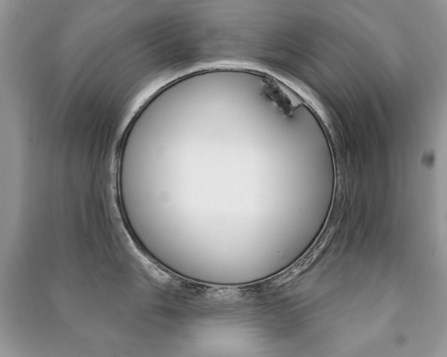 X0000091171006200708091019