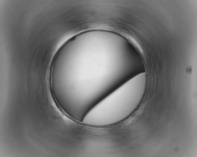 X0000091171007200708091019