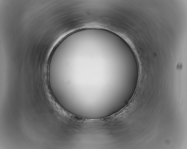 X0000091171008200708091019