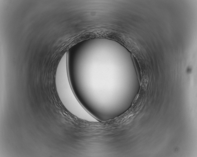 X0000091171010200708091019