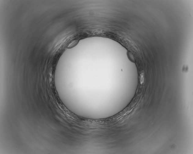 X0000091171011200708091019