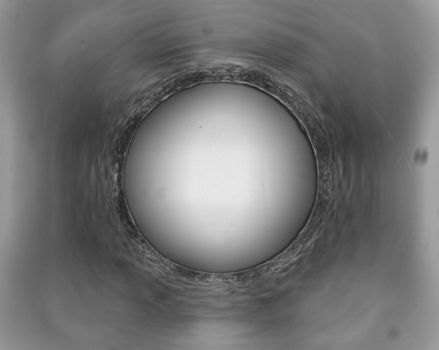 X0000091171013200708091019