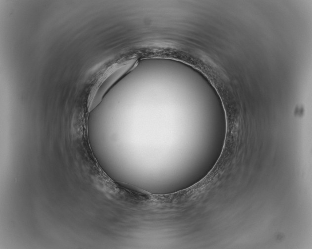 X0000091171014200708091019