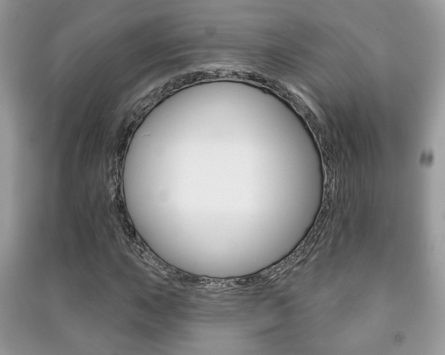 X0000091171015200708091019