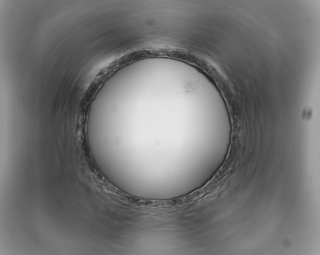 X0000091171016200708091019