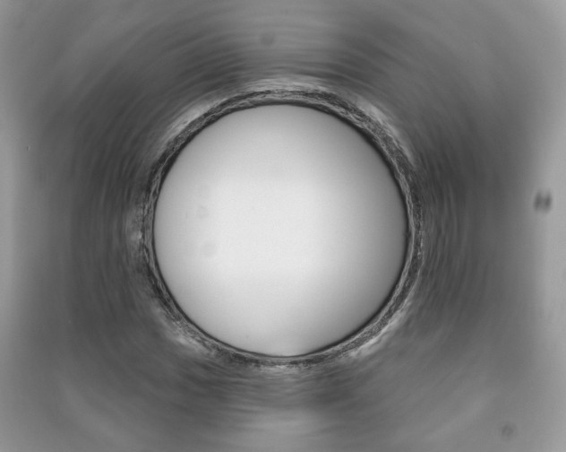X0000091171017200708091019