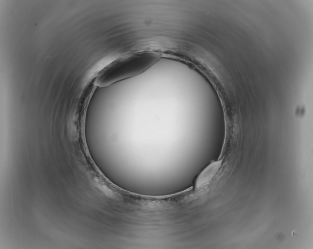 X0000091171018200708091019