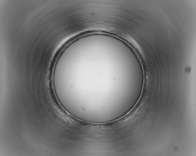 X0000091171020200708091019